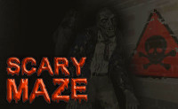 Scary Maze